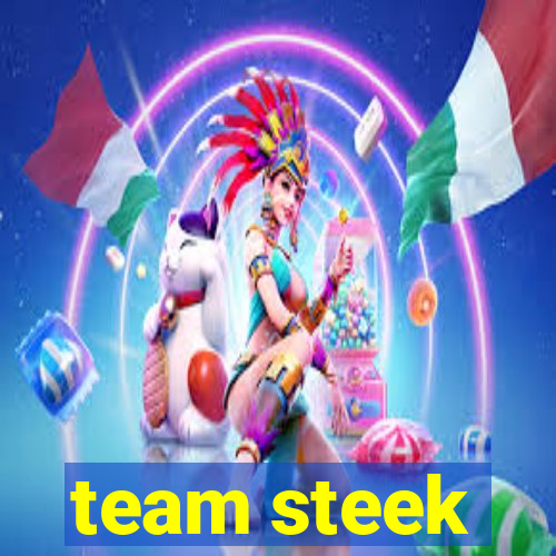 team steek