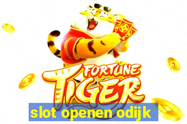 slot openen odijk