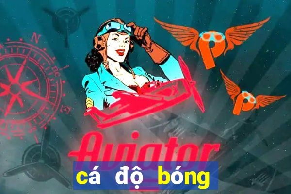 cá độ bóng đá online