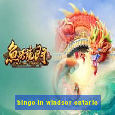 bingo in windsor ontario