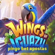 pingo bet apostas