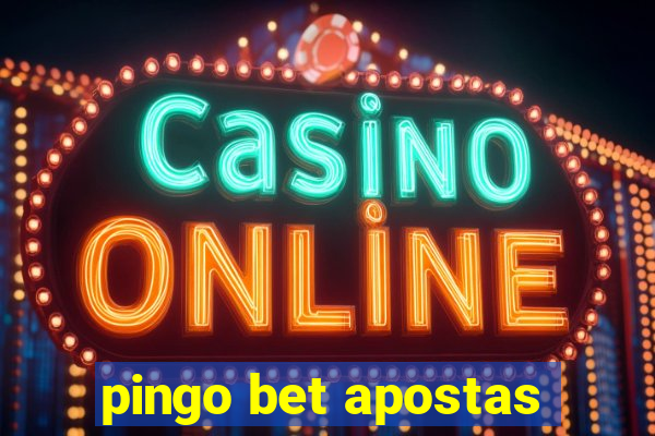 pingo bet apostas