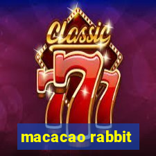 macacao rabbit