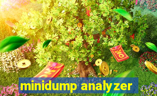 minidump analyzer