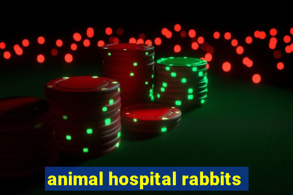 animal hospital rabbits