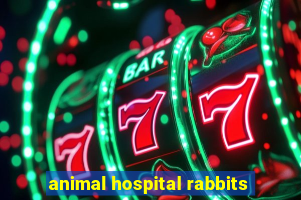 animal hospital rabbits