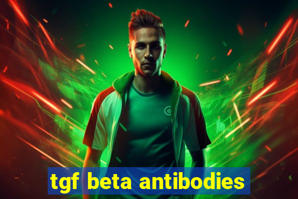 tgf beta antibodies