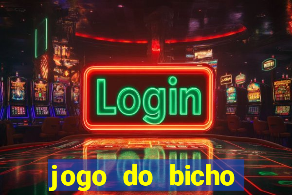 jogo do bicho crash bingo