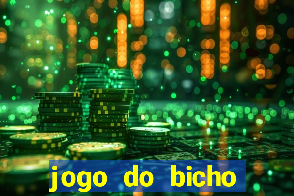 jogo do bicho crash bingo