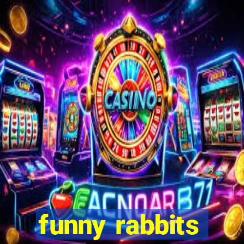 funny rabbits