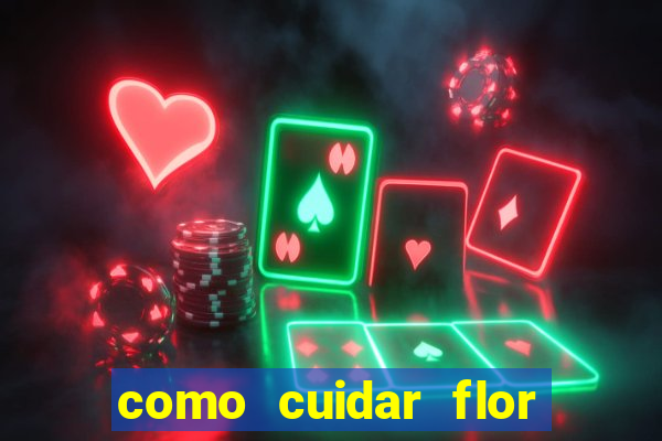 como cuidar flor da fortuna