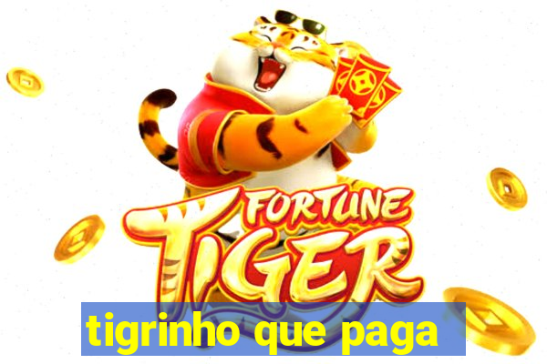 tigrinho que paga