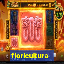 floricultura cruzeiro novo