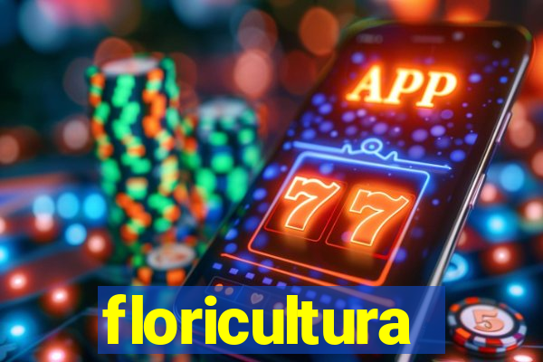 floricultura cruzeiro novo