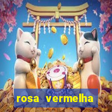 rosa vermelha (letra e cifra)