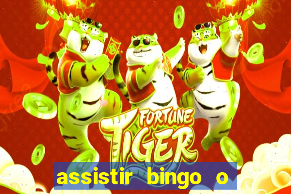 assistir bingo o rei das manhãs online