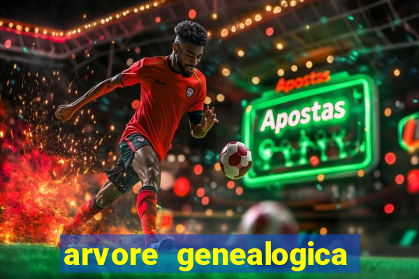 arvore genealogica dos gracie