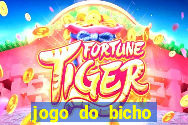 jogo do bicho natal rn