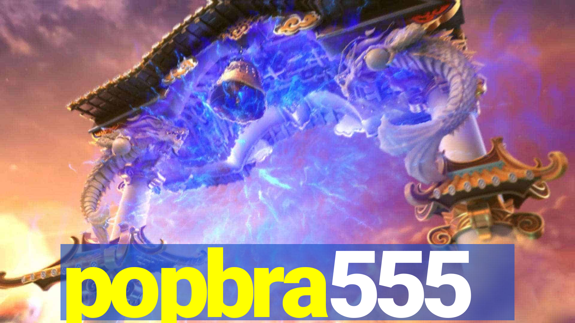 popbra555