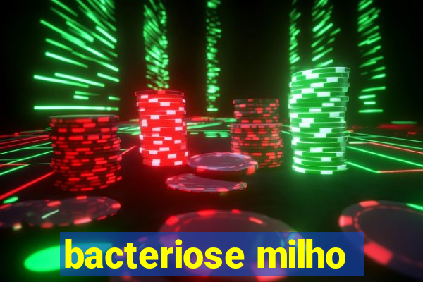 bacteriose milho