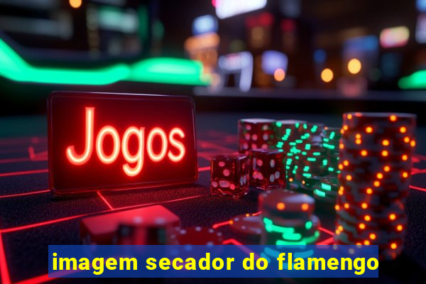 imagem secador do flamengo