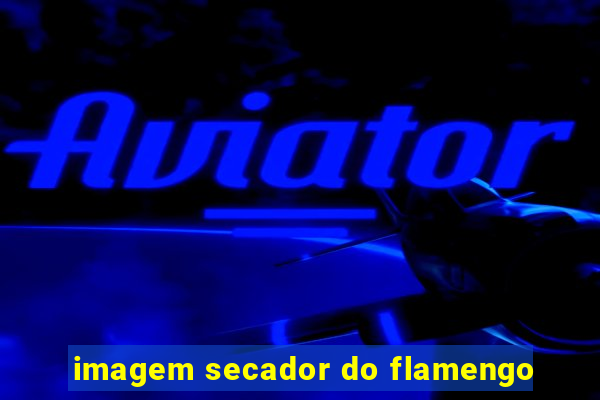 imagem secador do flamengo