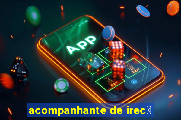 acompanhante de irec锚