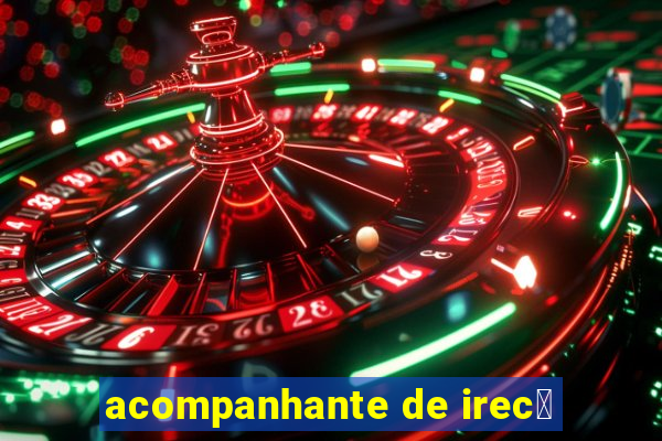 acompanhante de irec锚