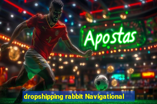 dropshipping rabbit Navigational