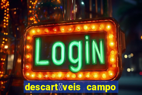 descart谩veis campo grande rj