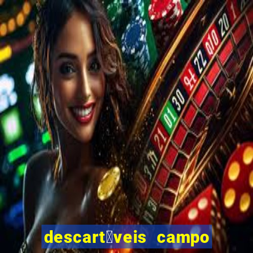 descart谩veis campo grande rj