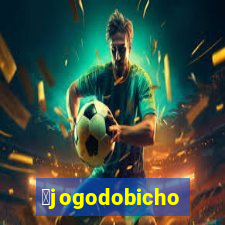 茅jogodobicho