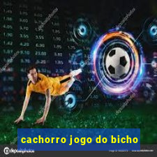 cachorro jogo do bicho