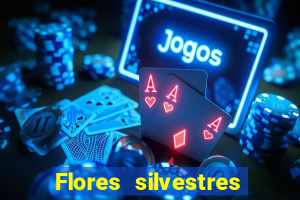 Flores silvestres brasileiras 25