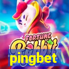 pingbet