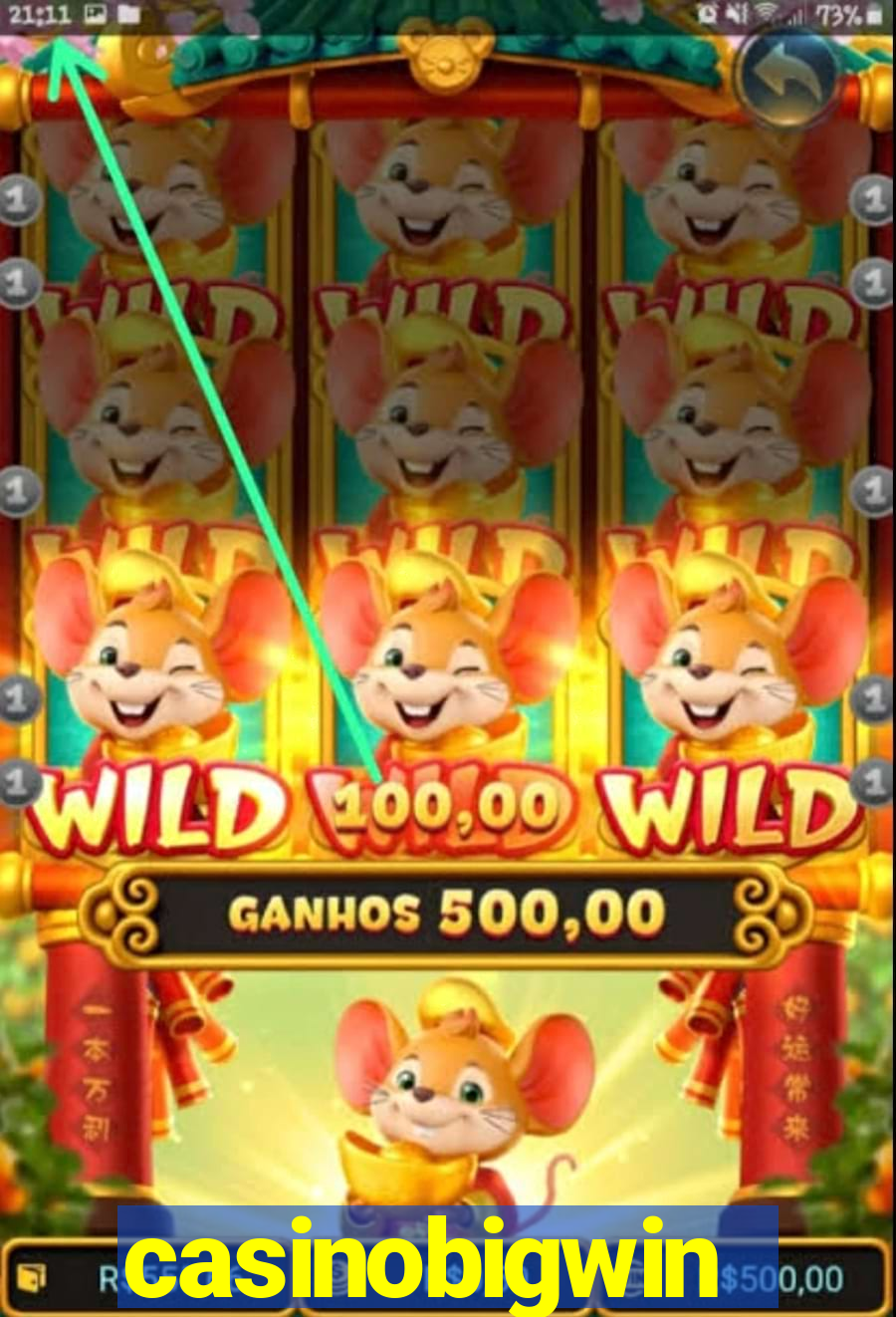 casinobigwin