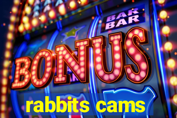 rabbits cams