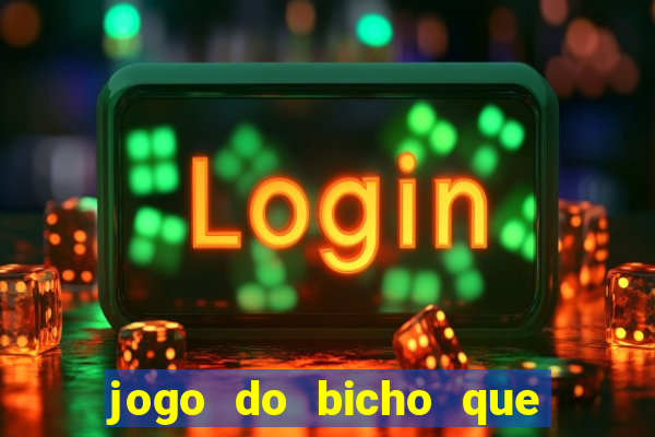 jogo do bicho que paga no pix