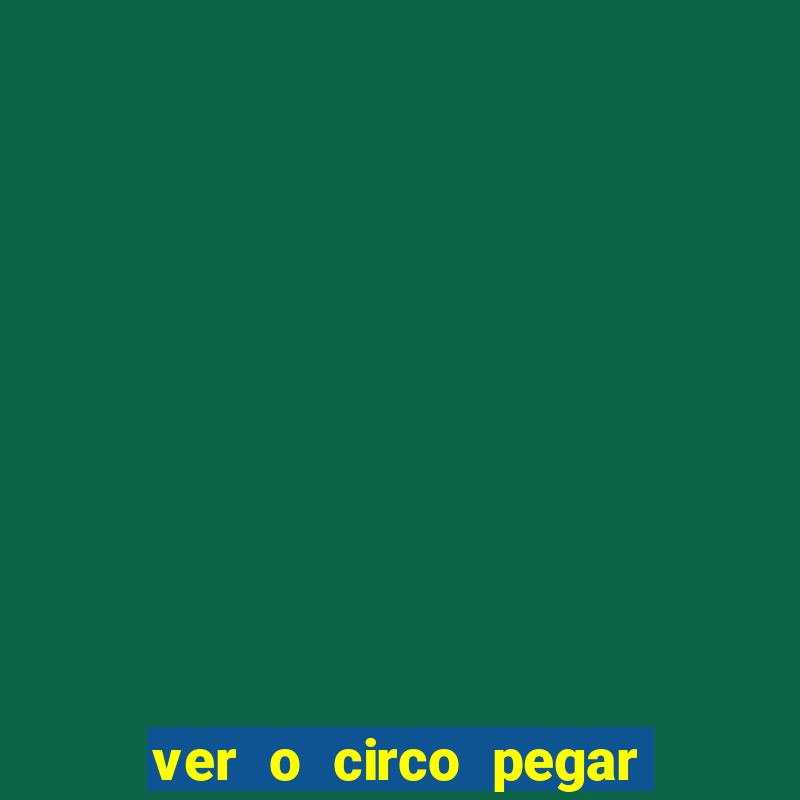 ver o circo pegar fogo significado