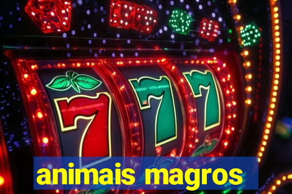 animais magros