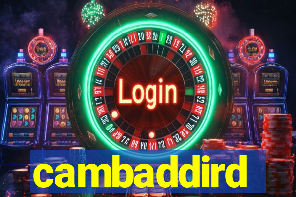 cambaddird