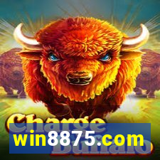 win8875.com