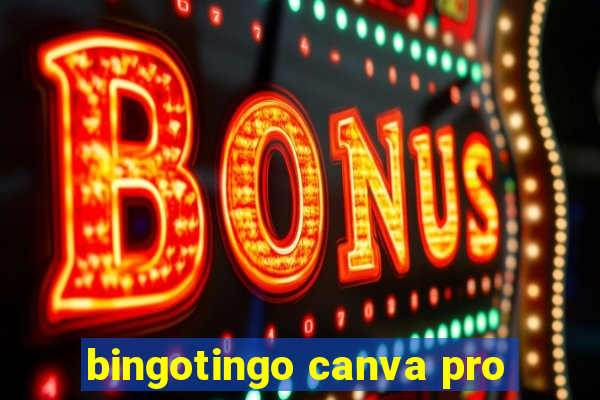 bingotingo canva pro