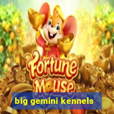 big gemini kennels