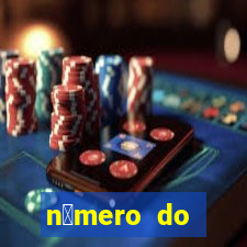 n煤mero do bate-papo da vivo