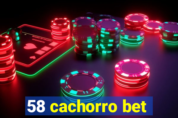 58 cachorro bet