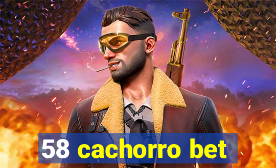 58 cachorro bet