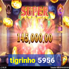 tigrinho 5956