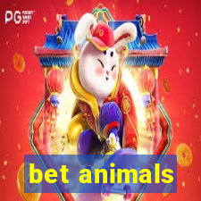 bet animals