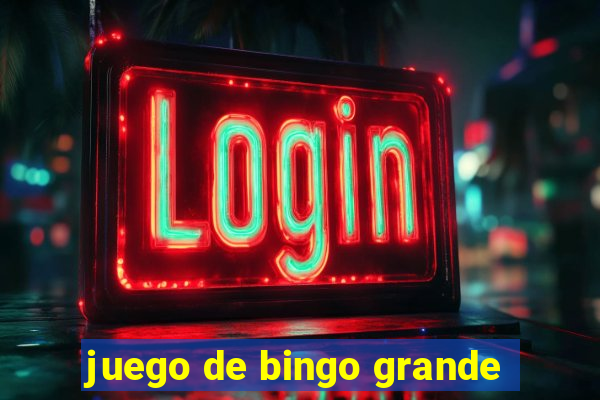 juego de bingo grande